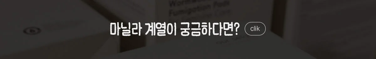 배너 마닐라 계열